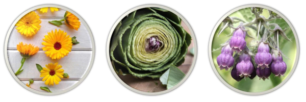 DRHC-Toner-Artichoke-2.jpg